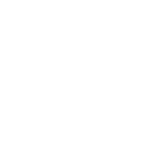 Wesley Vocational Institute